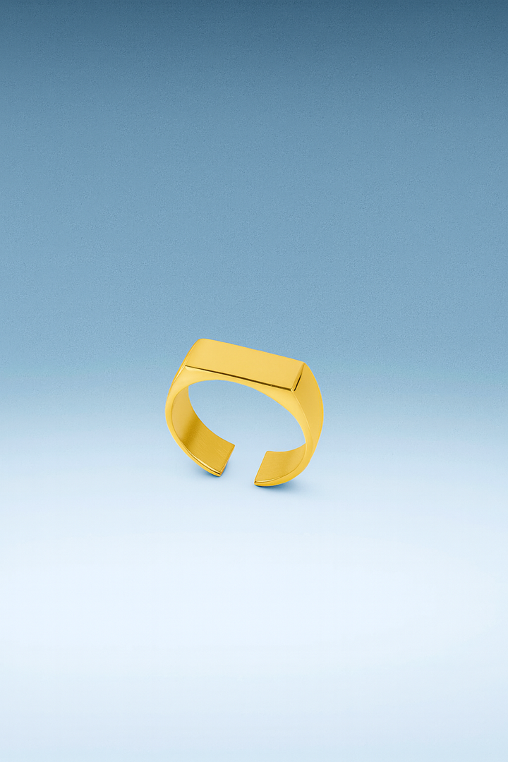 טבעת לגבר -  SIGNET | GOLD