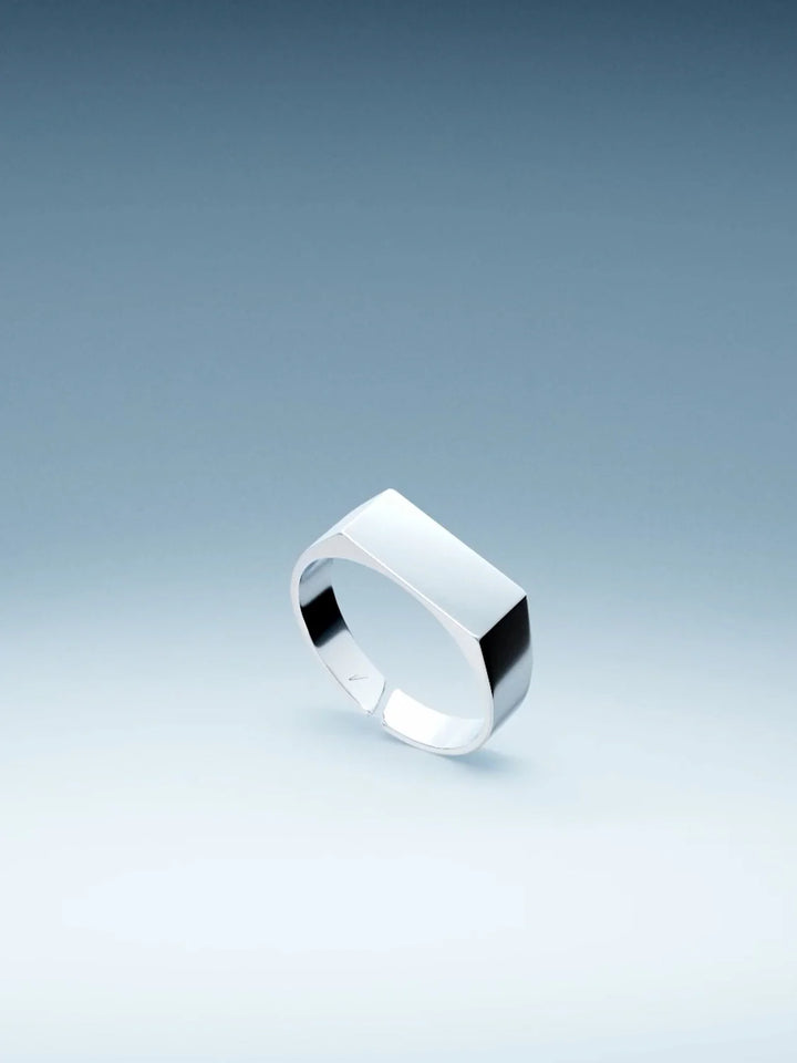 טבעת לגבר - AMSTERDAM UNISIZE SIGNET RING