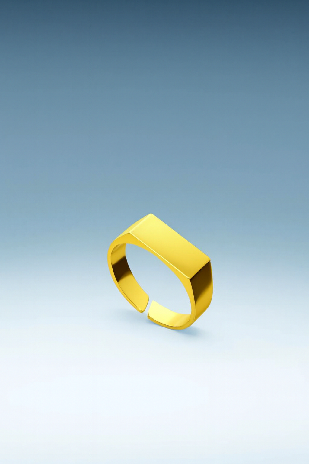 טבעת לגבר - AMSTERDAM UNISIZE SIGNET RING